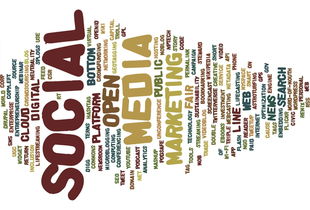 开云体育官方网站-新加坡队赛制解析:如何借助赛制优化提高整体协作,新加坡邀请赛赛程