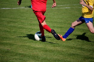 开云网页版-中国田径队在世界舞台上表现优异,奖牌不断,中国田径队排名